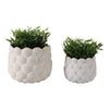 Indoor Outdoor Flower Planter Set of 2 | White Ceramic Seashell Design
