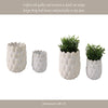 Indoor Outdoor Flower Planter Set of 2 | White Ceramic Seashell Design