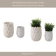 Indoor Outdoor Flower Planter Set of 2 | White Ceramic Seashell Design