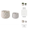Indoor Outdoor Flower Planter Set of 2 | White Ceramic Seashell Design