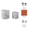 Tulip Set of 2 Planters | Navy Wildflower Field Design | White Terracotta