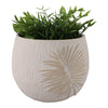 Minimalist Pampas Round Planter | Embossed Palm Frond | Ivory White Cement