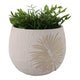 Minimalist Pampas Round Planter | Embossed Palm Frond | Ivory White Cement