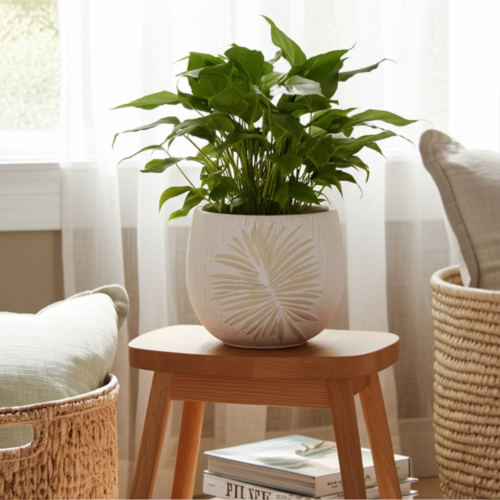 Minimalist Pampas Round Planter | Embossed Palm Frond | Ivory White Cement