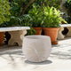 Minimalist Pampas Round Planter | Embossed Palm Frond | Ivory White Cement