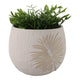 Minimalist Pampas Round Planter | Embossed Palm Frond | Ivory White Cement