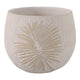 Minimalist Pampas Round Planter | Embossed Palm Frond | Ivory White Cement