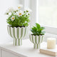 Outdoor Planters Set of 2 | Scallop Edge | Green & White Stripes | Cement