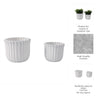 Fluted Planter Set of 2 | Modern Scalloped Edges | White Cement 6 8"