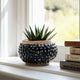 Outdoor Decorative Planter | 3D Textured Bubble | Black | 12" Wide Round