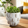 Outdoor Planter Pot | Sculptural Hobnail Texture White Terracotta | 8"