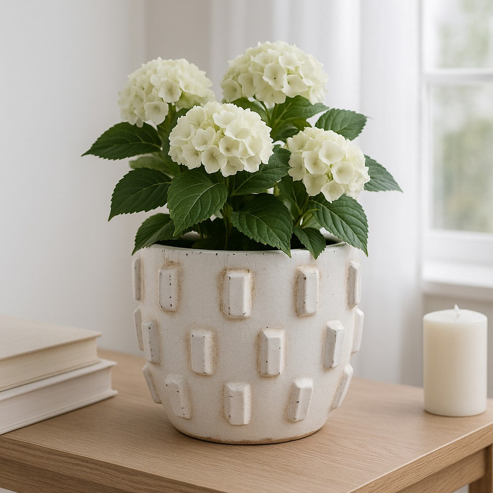 Outdoor Planter Pot | Sculptural Hobnail Texture White Terracotta | 8"
