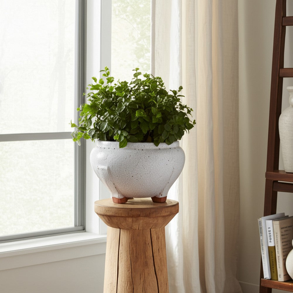 10" Outdoor Footed Planter | Round Shaped Speckled White Terracotta