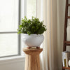10" Outdoor Footed Planter | Round Shaped Speckled White Terracotta