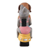 Arlin Statuette Dog & Cat on Solar Scooter | Multi Color Polyresin 17"