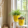 Ceramic Planter Set of 2 | Floral Wavy Rim & Ribbed Texture | Bright Yellow