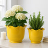 Ceramic Planter Set of 2 | Floral Wavy Rim & Ribbed Texture | Bright Yellow