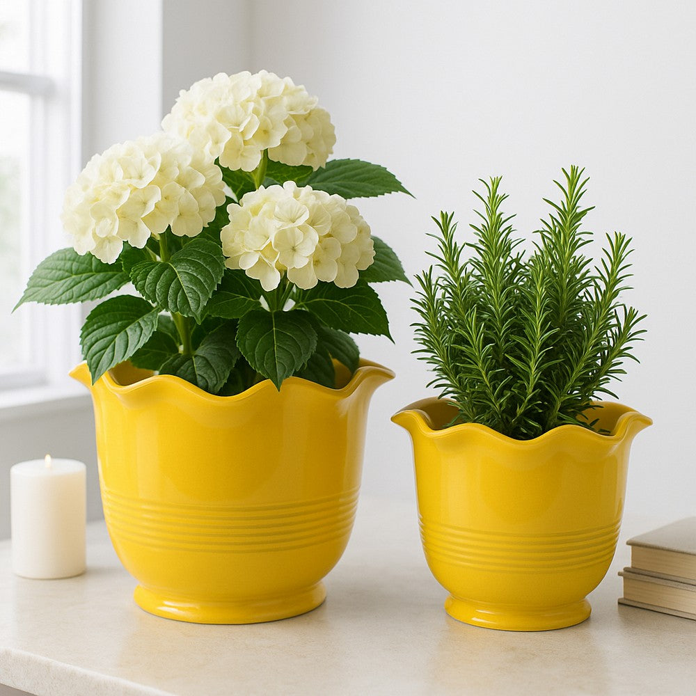 Ceramic Planter Set of 2 | Floral Wavy Rim & Ribbed Texture | Bright Yellow