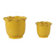 Ceramic Planter Set of 2 | Floral Wavy Rim & Ribbed Texture | Bright Yellow