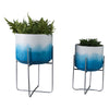 Planter on Stand Set of 2 | Raised Design | Blue & White Gradient | Iron