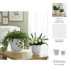 Outdoor Planters Set of 2 | Scalloped Ruffle Rim, Ivory | 8, 11"