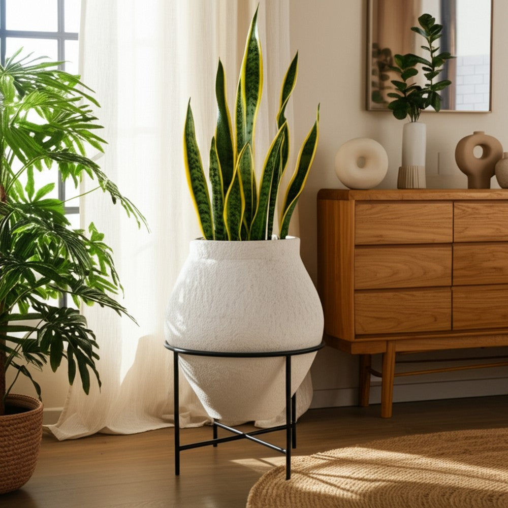 Decorative Flower Planter Pot in a Black Metal Stand | Ivory Terracotta