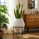 Decorative Flower Planter Pot in a Black Metal Stand | Ivory Terracotta