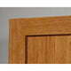 16"d 2-Door Storage Cabinet Ho 3a
