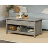 Cannery Bridge Lift-Top Coffee Table Myo SDR-422876