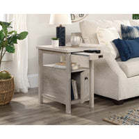 Chalked Chestnut