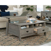 Trestle Lift-Top Coffee Table Myo Disc