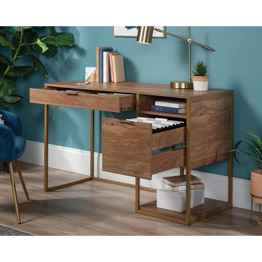 Inter Lux Single Ped Desk Sma/mgs Disc