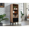 Ambleside Bookcase W/door Srw/blk Disc SDR-431620