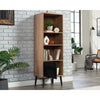 Ambleside Bookcase W/door Srw/blk Disc