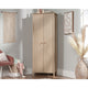 2-Door Storage Cabinet Nm