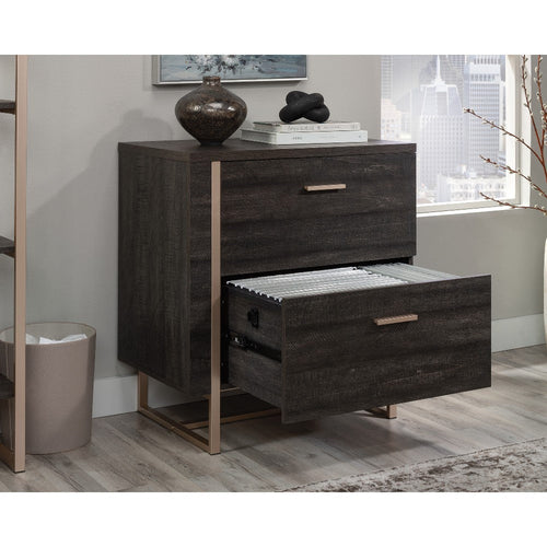 Walter Heights Lateral File Bw Disc