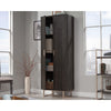 Walter Heights Storage Cabinet Bw Disc