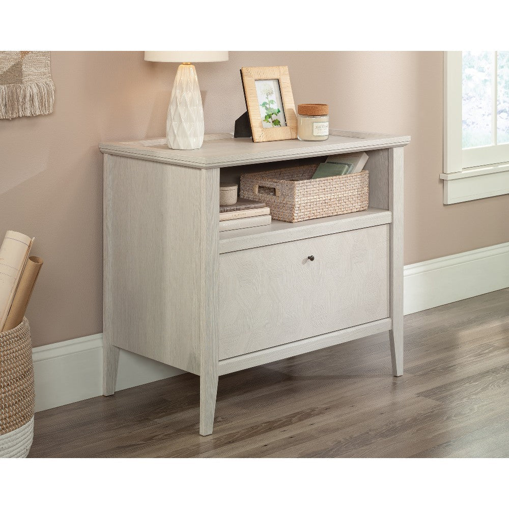 Larkin Ledge Lateral File Go Disc