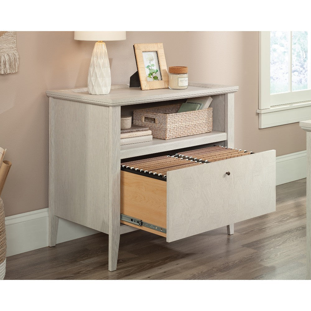 Larkin Ledge Lateral File Go Disc