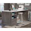 Craft Pro Craft Table Myo/wh Top SDR-433648