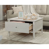Larkin Ledge Storage Coffee Table Go Dis