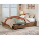 Blvd Cafe Queen Storage Bed Vo A2 Disc