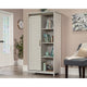 Coral Cape Cabinet W/slide Door Go Disc