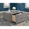 Hayes Garden Coffee Table Aso Disc