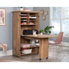 Craft Storage Armoire Toa A2