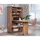 Craft Storage Armoire Toa A2