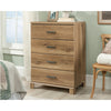 Rosedale Ranch 4-Drawer Chest Toa Disc SDR-434920