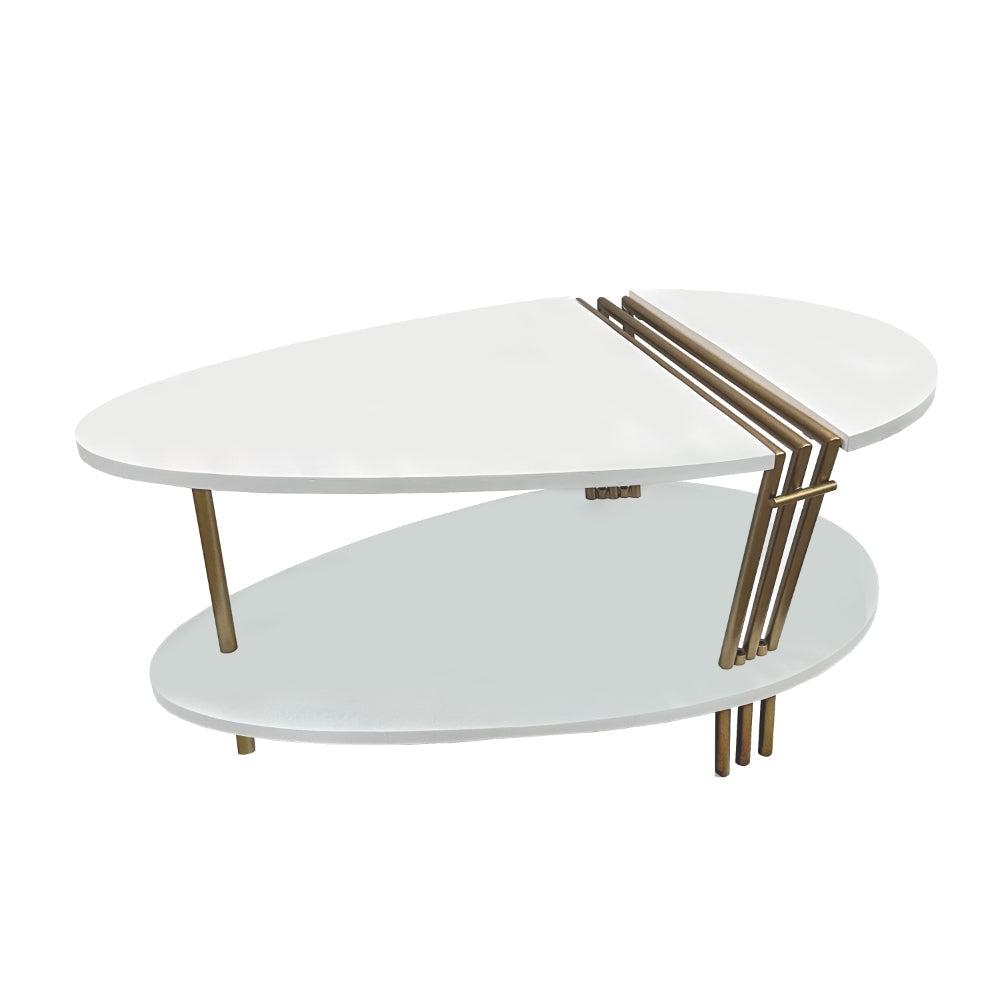 36 Inch Modern Coffee Table Oval Elliptical Shape White Mango Wood With Antique Brass The Urban Port UPT-293502