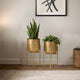 Aira Set of 2 Planters | 19, 22" Tall | Foldable Metal Stand | Antique Brass Finish By The Urban Port