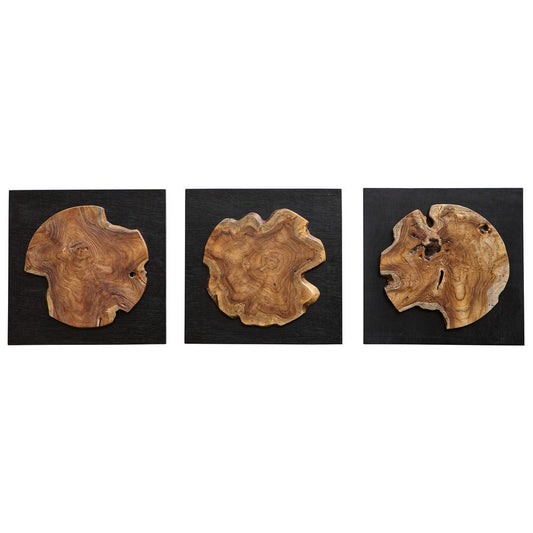 Uttermost 04336 Kolini - Wall Decor (Set of 3)-25.6 Inches Tall and 25.6 Inches Wide